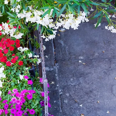 Old Town Castropola Apartman