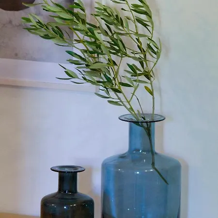 Old Town Castropola *